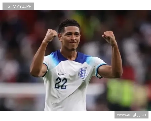 恩佐转会溢价与实战价值差距分析