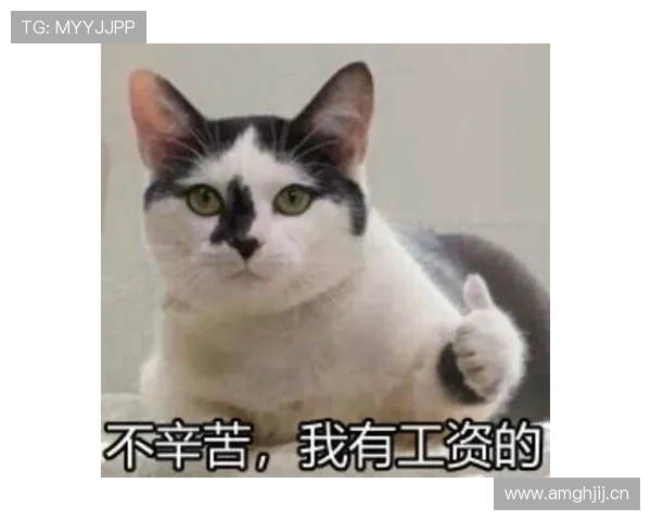 掌敏洁家的猫吃的比我的工资还贵